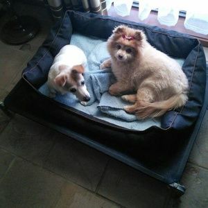 Meet your Posher, Eve